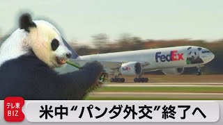 米国立動物園のパンダ3頭が帰国（2023年11月9日）