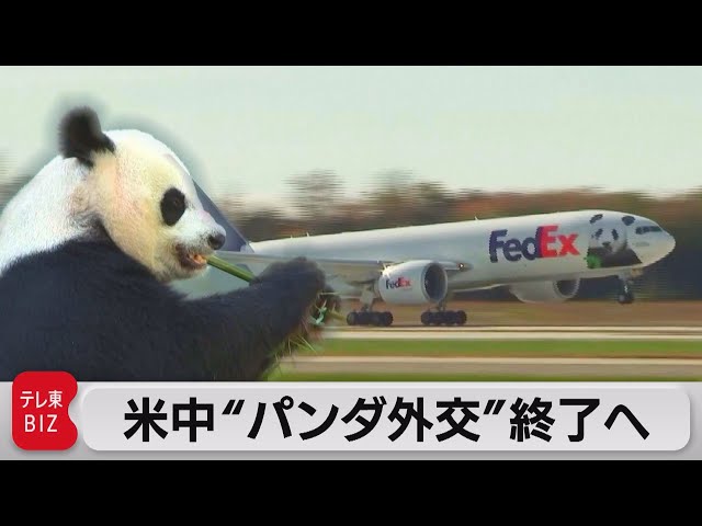 米国立動物園のパンダ3頭が帰国（2023年11月9日） - YouTube
