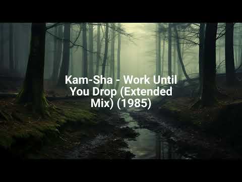 Work Until You Drop! artwork