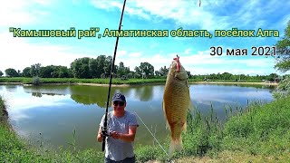 Камышовый рай, Алматинская область, посёлок Алга (пикник и пассивная рыбалка), 30 мая 2021 года