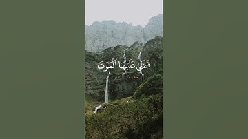 تلاوة جميلة و مؤثرة لآيات من القرآن الكريم #تلاوة_خاشعة #قران_كريم #راحة_نفسية #اكسبلور #لايك#اذكار