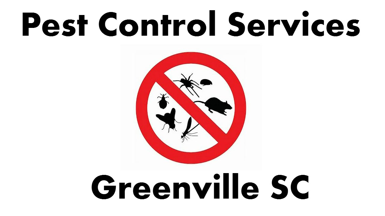 Pest Control Greenville SC YouTube