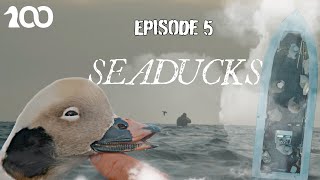 Hunting Seaducks in Layout Boats : Road To 100 Episode 5