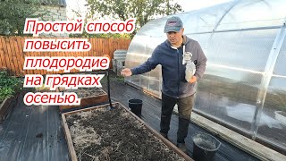 Как повысить плодородие почвы на огороде осенью. Проверенный способ!