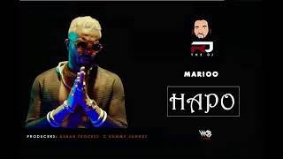 MARIOO FT RJ THE DJ -HAPO  VIDEO