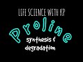 PROLINE: Synthesis & Degradation.Vlog 21