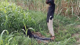 Today A New Exercise Magic With Boy And Oil In The Fields .