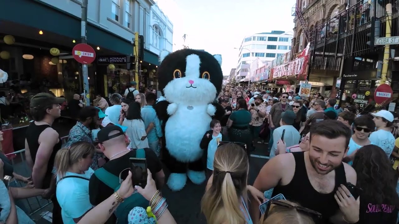 Cuba Dupa Festival Skate -Wellington Street Skate: Outdoor Skate Meetups for Inline & Roller Skaters