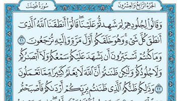 سورة فصلت بندر بليلة