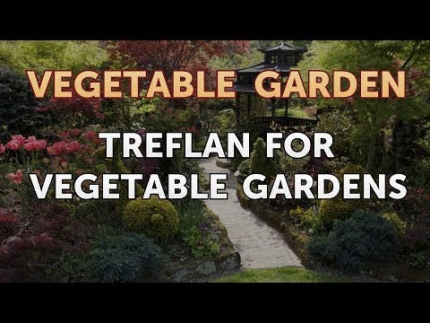 Pre Emergent Herbicides For Vegetable Gardens - Garden Ftempo