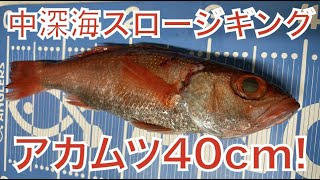 オゴジグ OGOJIG 5本セット スロージギング 中深海 アカムツ ノドグロ オゴジグ OGOJIG 5本セット スロージギング 中深海 アカムツ ノドグロ