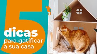 5 dicas de enriquecimento ambiental para gatos screenshot 5