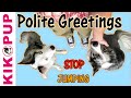 Polite Greetings - STOP Jumping