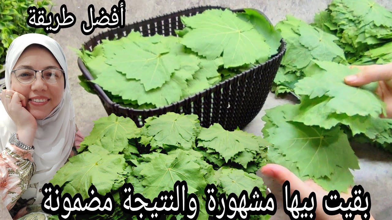 ده الوقت المناسب لتخزين ورق العنب يلا هاتيه من غير زجاجة ولا سلق ولاجوه كيس تفردية وتجمديه