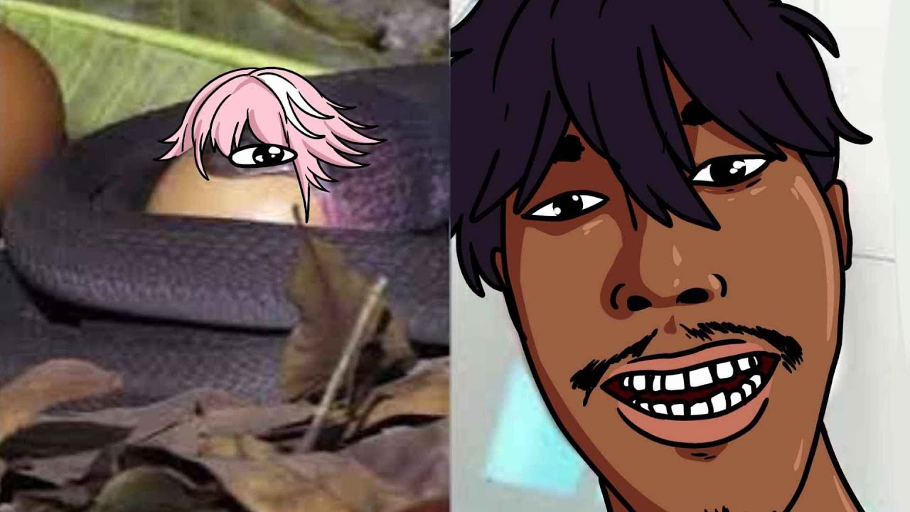 จ๊วดจ้องจะ