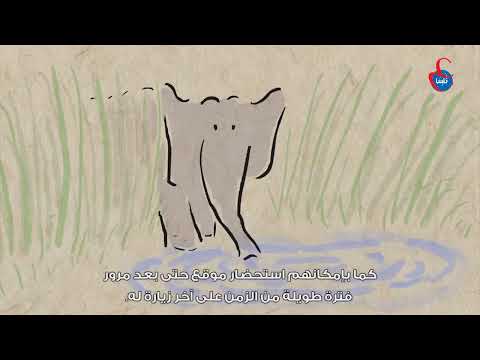لم الفيلة لا تنسى؟