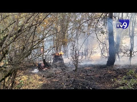 ემუქრება თუ არა საფრთხე დასახლებულ პუნქტებსა და ბაქო-თბილისი-ჯეიჰანის მილსადენს?