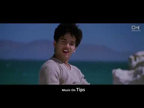 Dil mere na  songs // I love you,  like  creasi    shahid  kapoor  movie