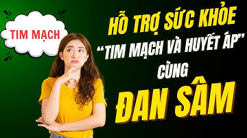khám phá công dụng tuyệt vời của củ đan sâm | Thảo Dược THAPHACO