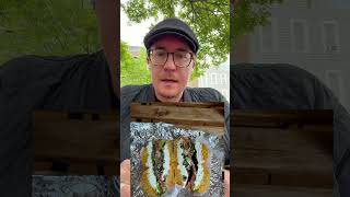 Angel’s Cafe (bagel shop) review North Williamsburg Brooklyn 