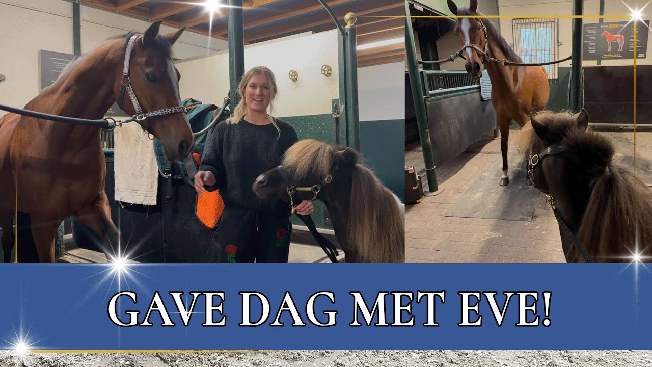 EVE en TEDDY ontmoeten elkaar😍 | PaardenpraatTV