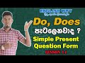 How to use “Do, Does" in question form.. Do, Does පැටලෙනවා ද.? L 14 .. ! English grammar in sinhala