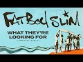 Fatboy Slim - What They're Looking For (Official Audio)