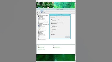 How to find customize view by Device Manager in server 2012 r2