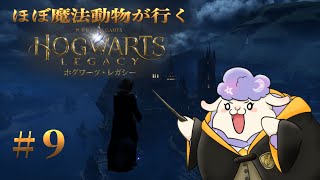【#ホグワーツレガシー】復学！！ほぼ魔法動物が行くホグワーツレガシー# 9【迷鳴たましゃん】
