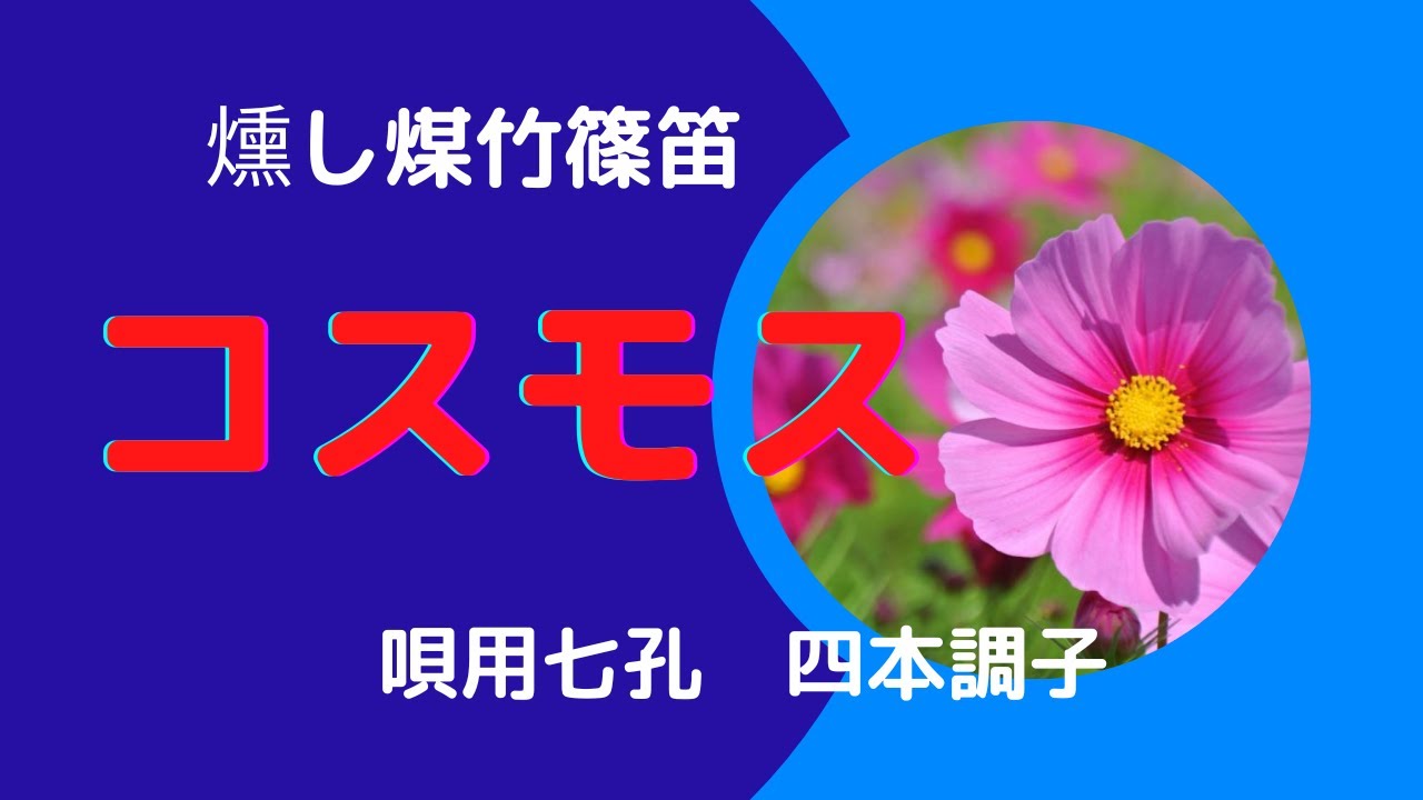 篠笛】【篠笛の選び方】「コスモス」を四本調子で吹いてみた！ - YouTube