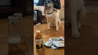 Pitbull Says Vivaaa Mexico