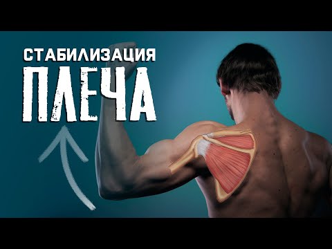 видео: Как укрепить плечевой сустав? Упражнения для  стабилизации и укрепления плеча.