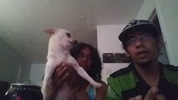 Jump Force Character Predictions