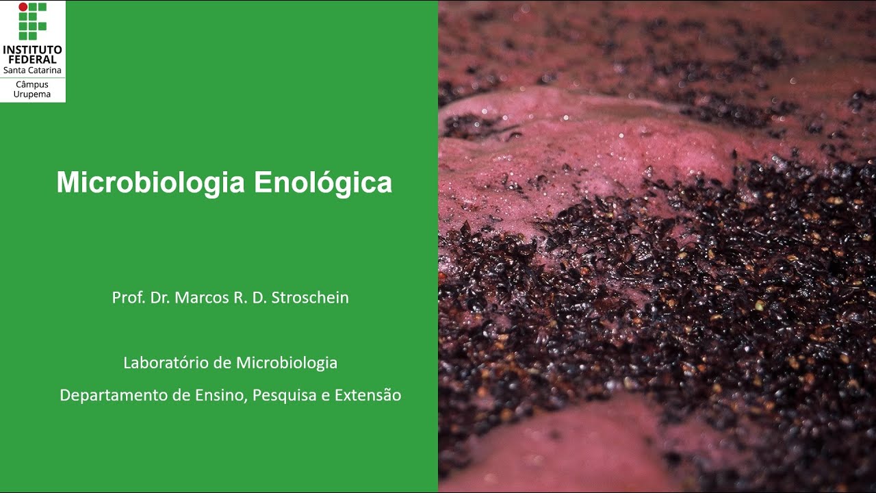 Citologia, Taxonomia e a Reprodução de Leveduras.