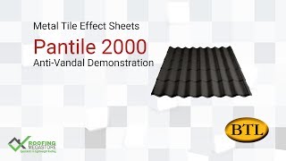 Pantile 2000 - Anti-Vandal Demonstration