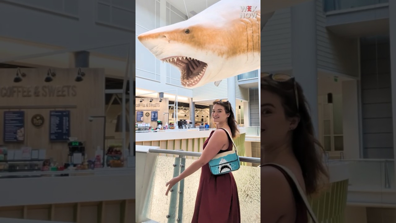 Shark Week DC checklist