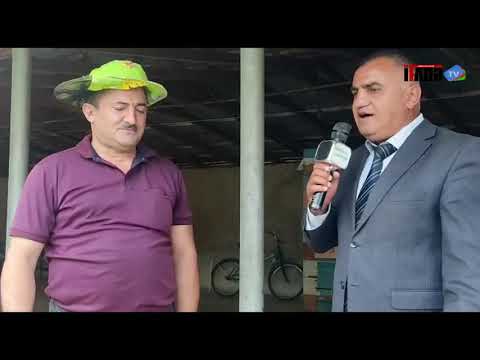 Video: Evdə Təbii Və Ya Olmayan Bal Necə Yoxlanılır