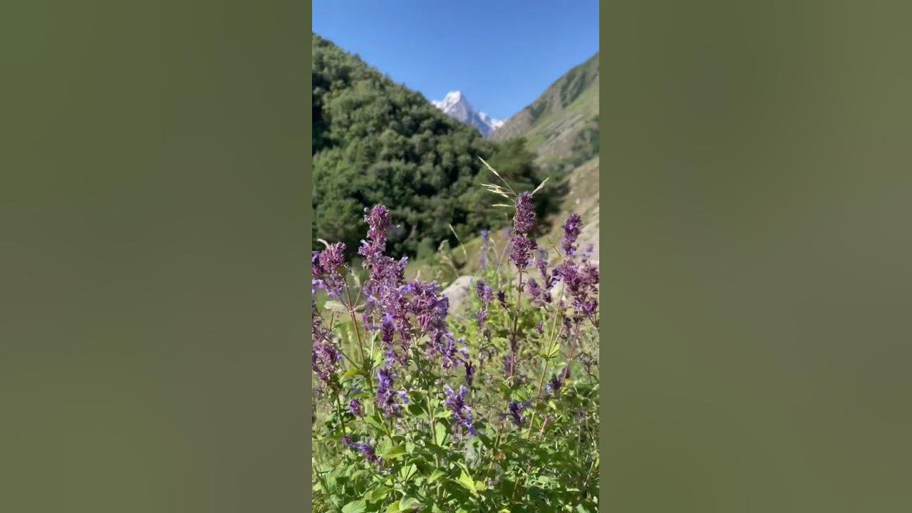 Кабардино-Балкарская республика. #кбр - YouTube