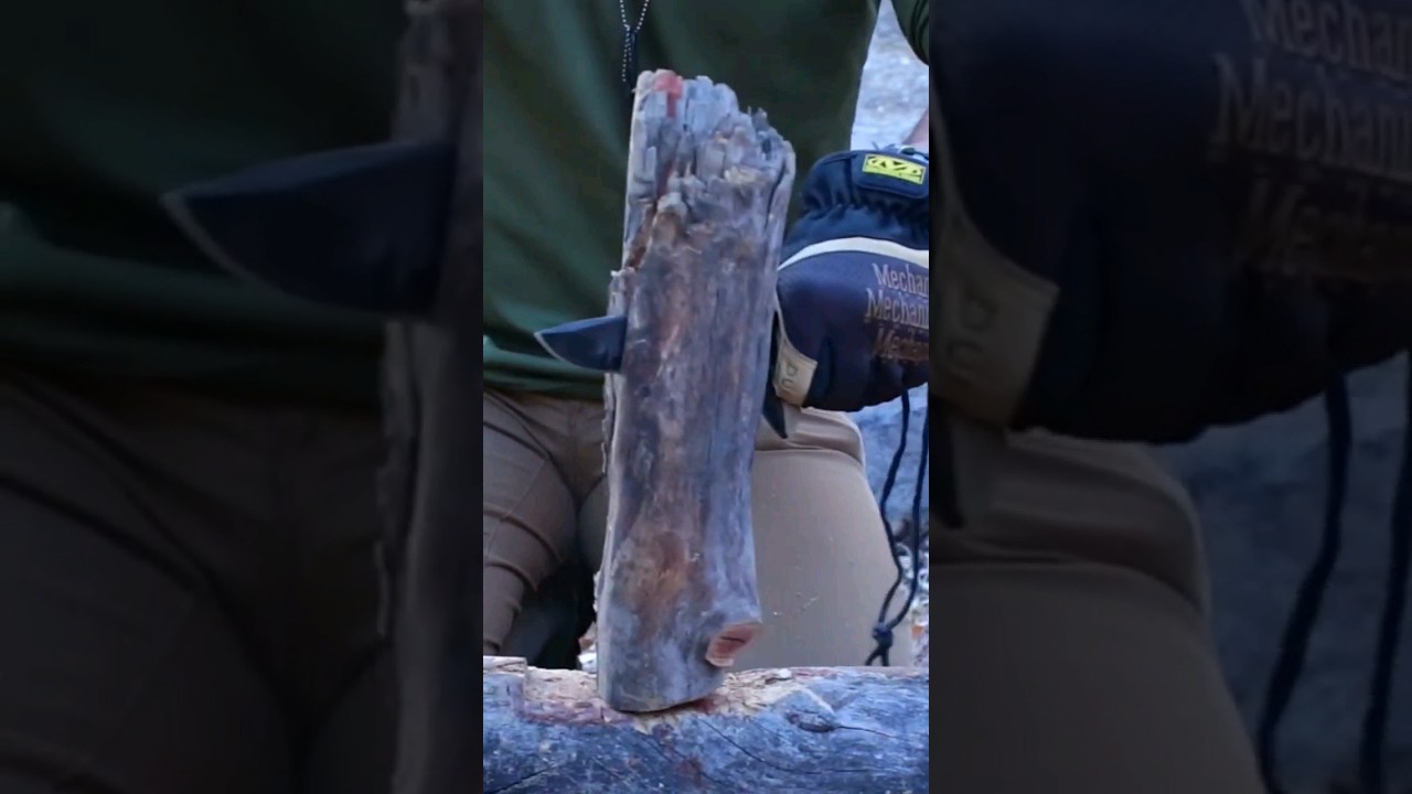 💥GERBER STRONGARM💥BATONING TEST 