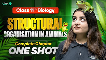 Structural Organisation in Animals Class 11 One Shot | 11th Biology Chapter 7 Revision
