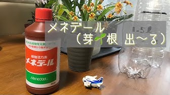 メネデール Youtube