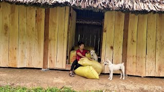 Making wooden doors, cooking - Farm life - Lý Thị Sai