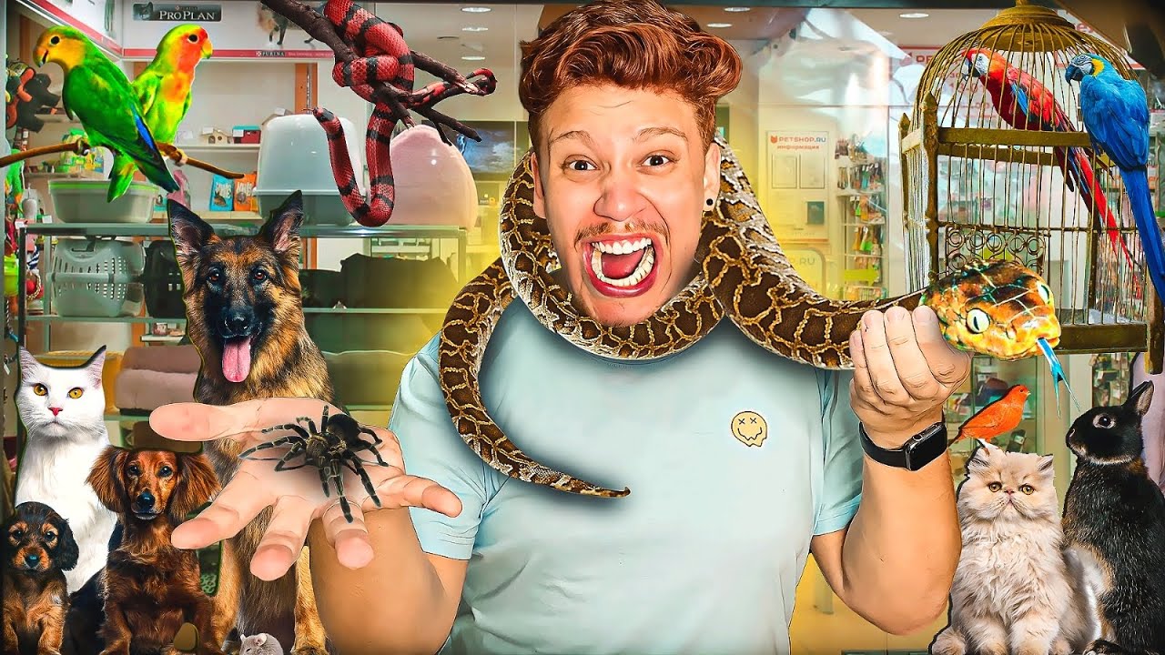 FUI NA MAIOR LOJA DE ANIMAIS DA MINHA CIDADE!