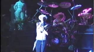 Famous JANE'S ADDICTION - July 18, 1991 - Tempe, Arizona - 1st Lollapalooza Show Ever Profile