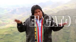 Gato Del Arpa  Aeroplano / Videoclip Oficial (Huayno Perú)