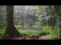 No Copyright Music] Sleep Sounds: rain in the forest