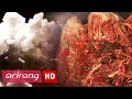 [Arirang Spical] Salt Conditions for a Premium Seasoning _ Full Epsode