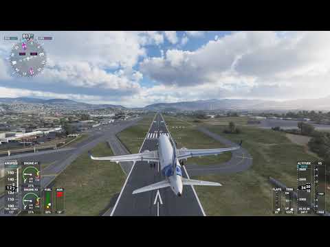 Microsoft Flight Simulator