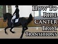 HOW TO DO CANTER TO TROT TRANSITIONS (Made Easy) - Your Riding Success TV Episode 43