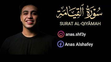 أواخر سورة القيامة ❤️😌 | تلاوة مؤثرة (وظن أنه الفراق💔) | القارئ انس الشافعي